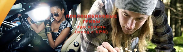 метадон Арсеньев