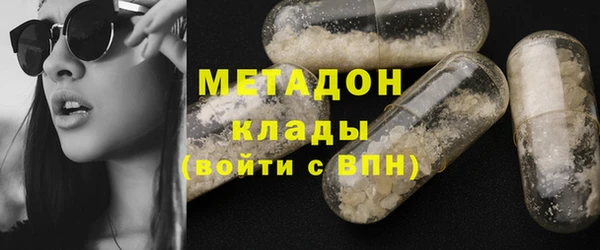 хмурый Аркадак