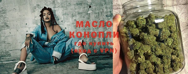 хмурый Аркадак