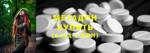 хмурый Аркадак