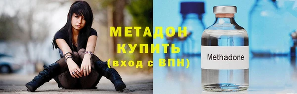 хмурый Аркадак
