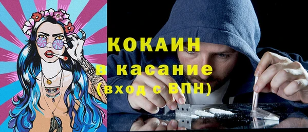 хмурый Аркадак