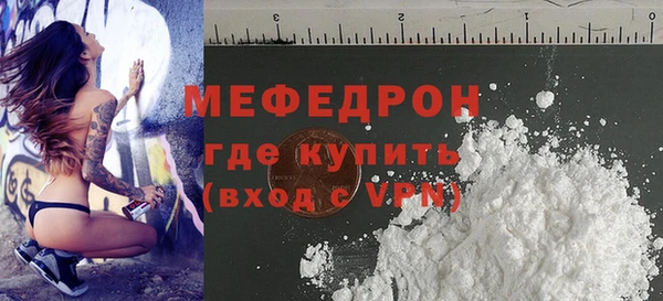 хмурый Аркадак
