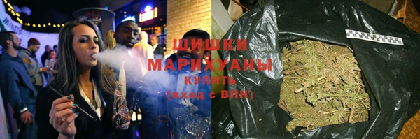 хмурый Аркадак