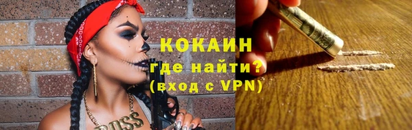 хмурый Аркадак