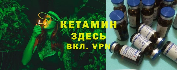 хмурый Аркадак